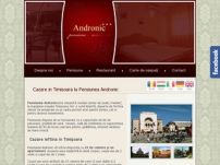 Restaurant Andronic